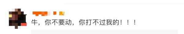 男子扮女装潜入女厕偷拍，被网络大V当场逮住