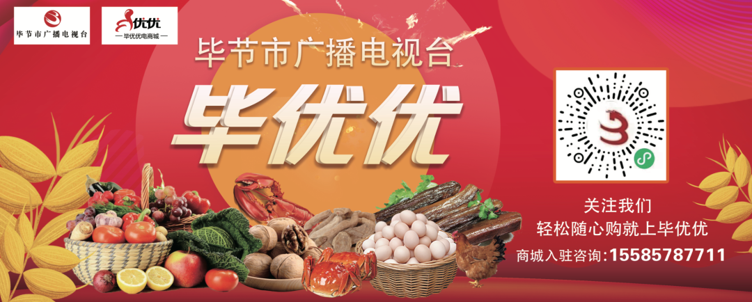 毕节学院（贵州唯一）