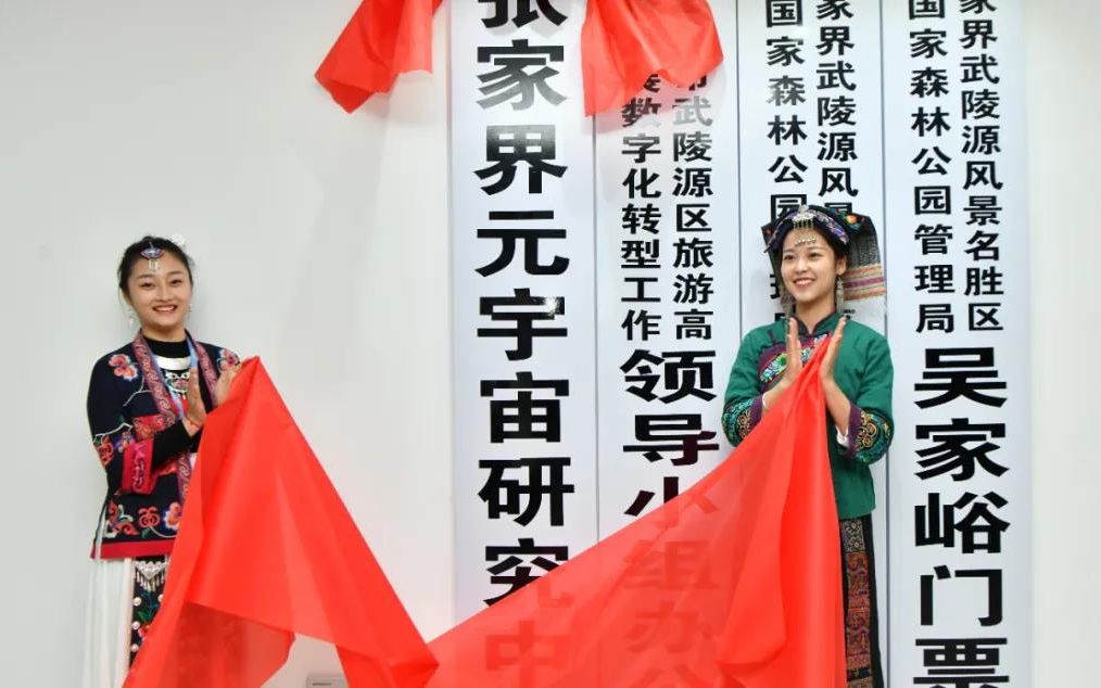 张家界蹭“元宇宙”热度？研究中心负责人回应