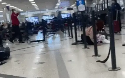 美机场枪支走火:乘客匍匐在地（人群四处逃散、行李丢满地）