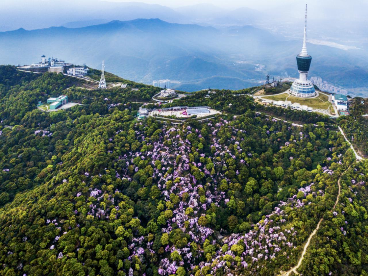 广东十大最美森林旅游目的地揭晓：梧桐山国家森林公园上榜