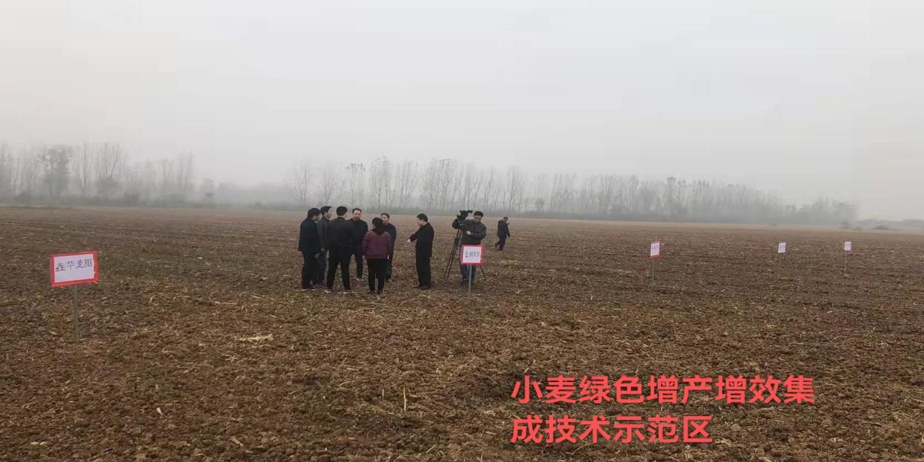 镇平县农技中心扎实开展小麦试验示范 服务全国绿色农产品基地创建