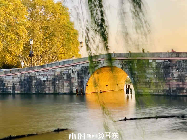 秋日银杏叶（秋天银杏叶和枫叶真美呀指着这一）