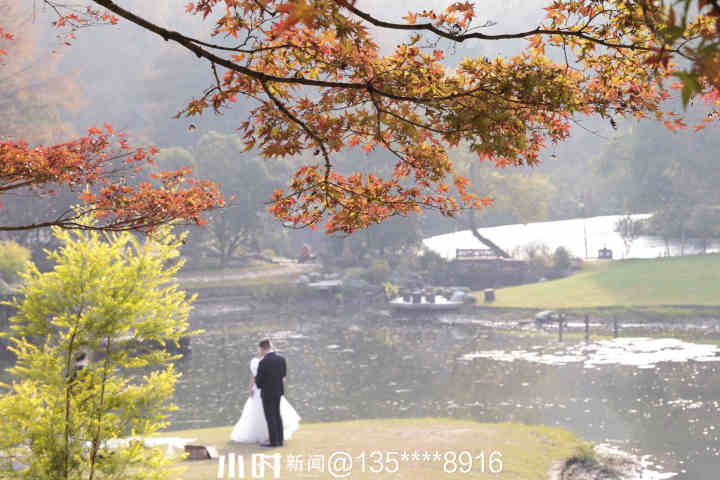 秋日银杏叶（秋天银杏叶和枫叶真美呀指着这一）