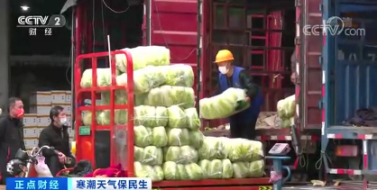 蔬菜批發(fā)價(jià)格走勢(shì)平穩(wěn)！寒潮來(lái)臨，上海“菜籃子”價(jià)穩(wěn)量足
