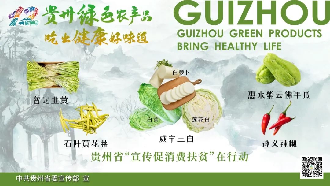 强省会有我丨王胤：为贵阳贵安医药产业发展培养人才