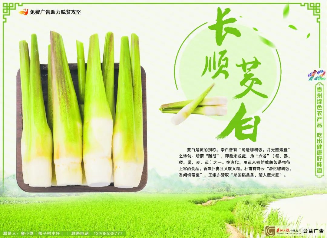 强省会有我丨王胤：为贵阳贵安医药产业发展培养人才