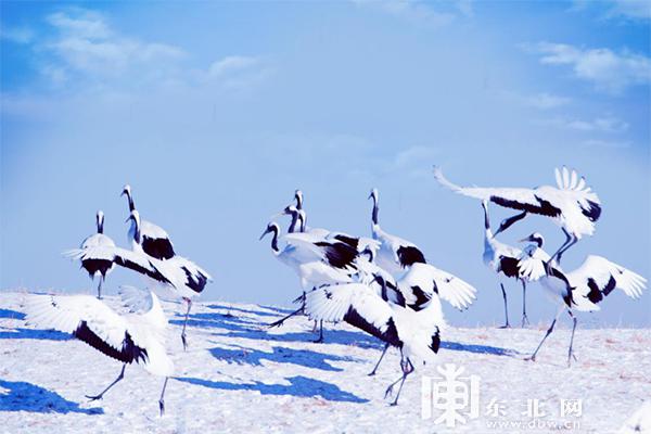 共赴一场冰雪之约黑龙江这些地方满足您对冬天所有多彩幻想
