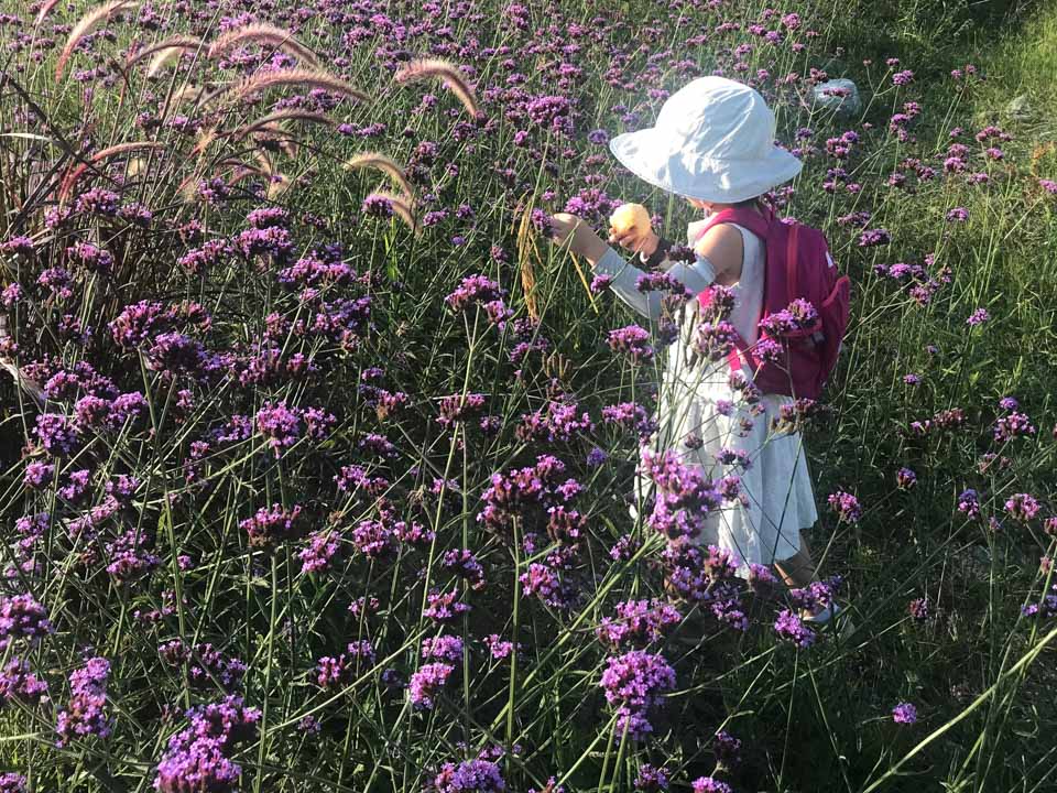 贵州七岁女孩被联名驱逐背后：名师、刺头、内鬼和家委会