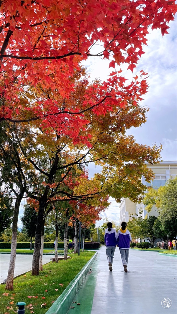 层林尽染 安宁校园美如画