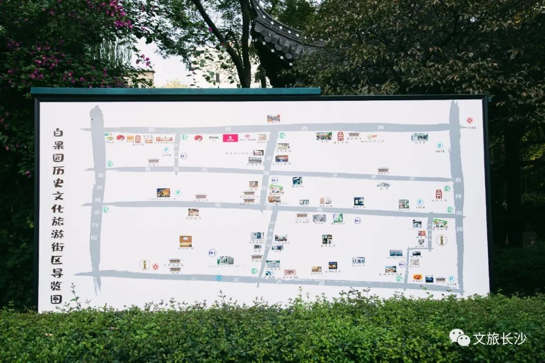长沙百果园（白果园24小时发现千年长沙的生活真相）