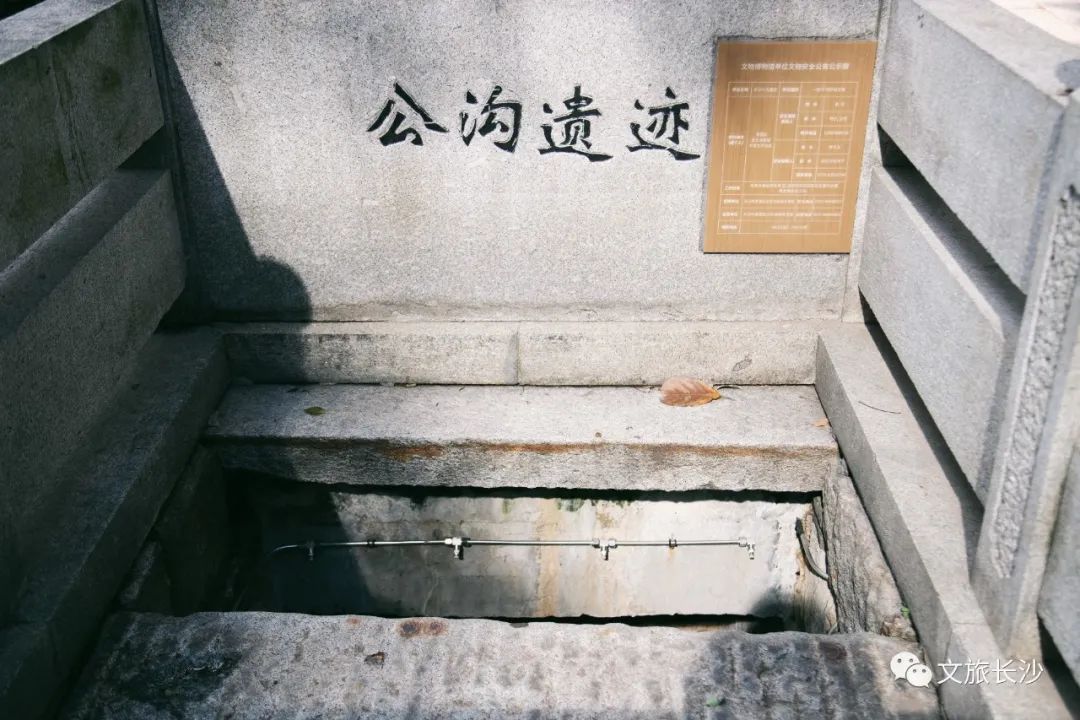 长沙百果园（白果园24小时发现千年长沙的生活真相）