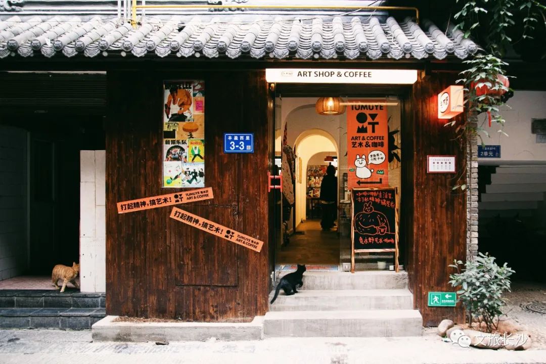 长沙百果园（白果园24小时发现千年长沙的生活真相）
