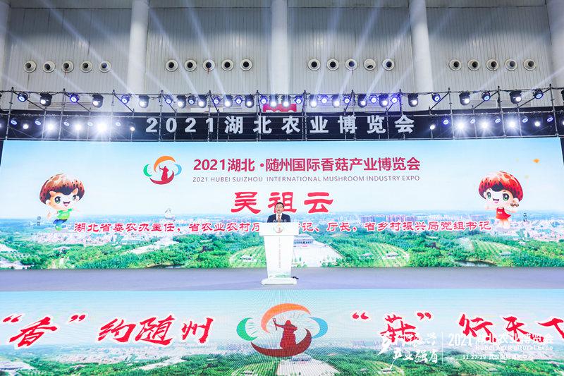 湖北隨州香菇成“致富菇” 從業(yè)30萬(wàn)人年產(chǎn)值300億