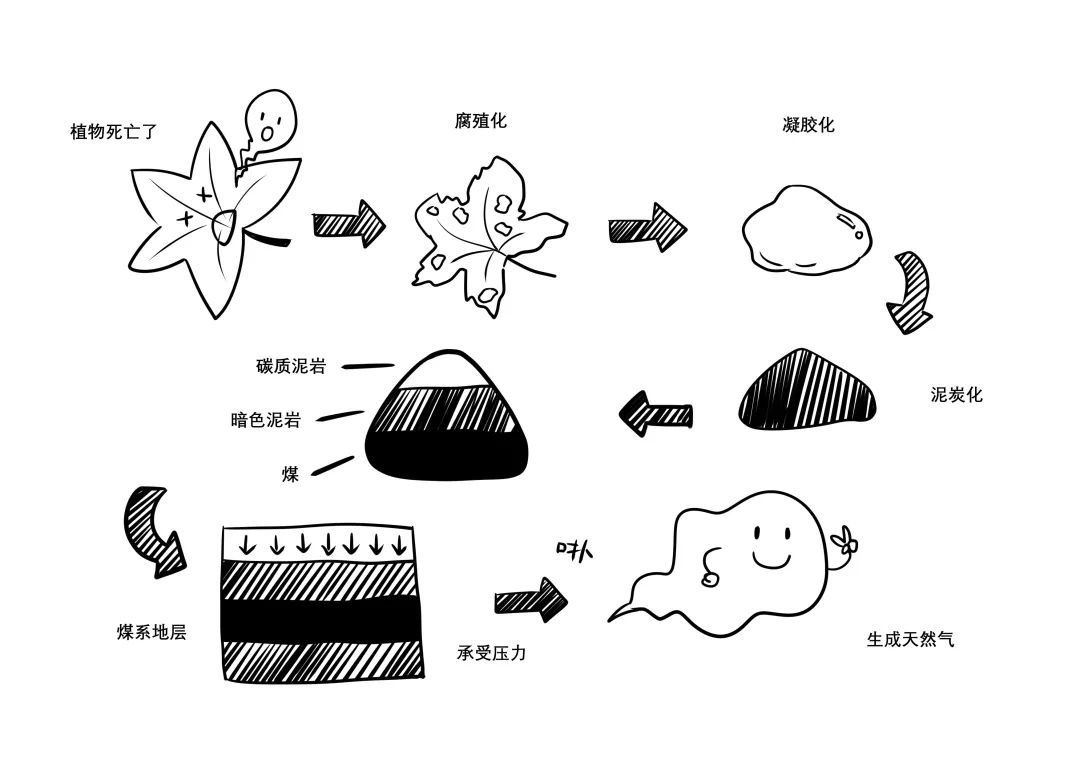 “宇宙级”精度！如何从海底石头缝里“挤”出石油？｜科普央企那些事儿