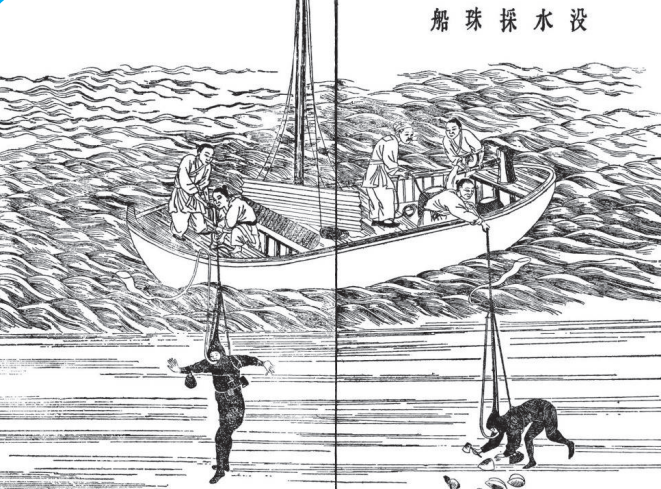 高强度采珠后的一两年,常常出现无珠可采的局面.