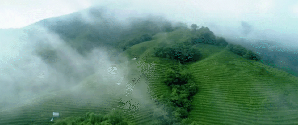 ����ȫ������ʾ�������Ĵ�8���ϰ�