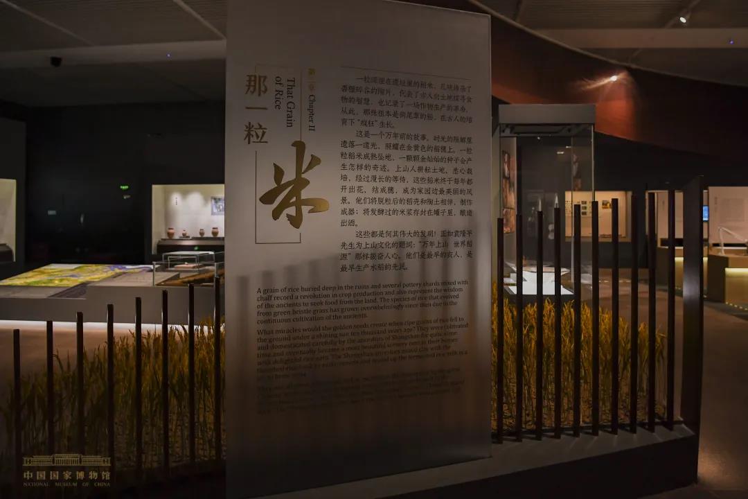 文艺评论丨上山文化：中华万年文明史上一颗璀璨的“启明星”