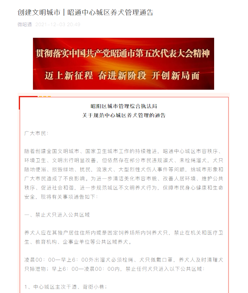 遛狗仅限凌晨，还要给狗戴口罩？云南昭通回应“最严限狗令”