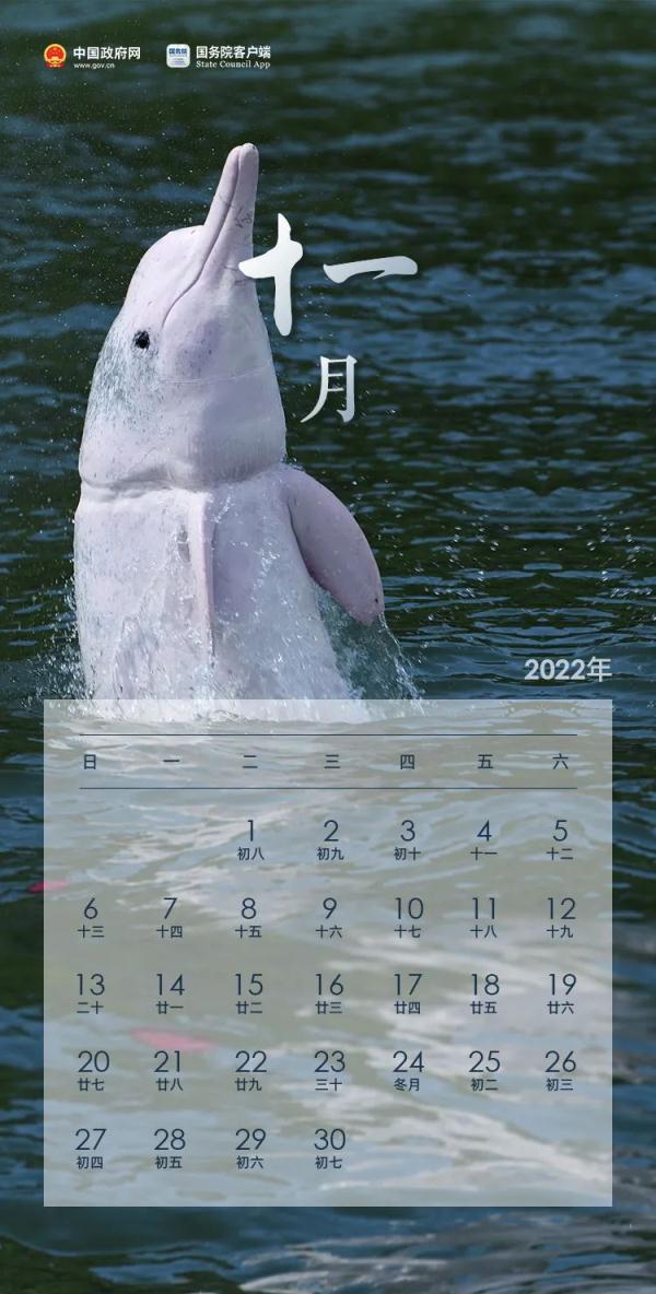 清明节放假2022,清明节放假2022年放几天