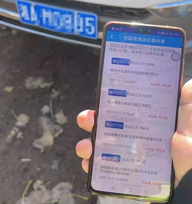 郴州交通违章查询,郴州交通违章查询网