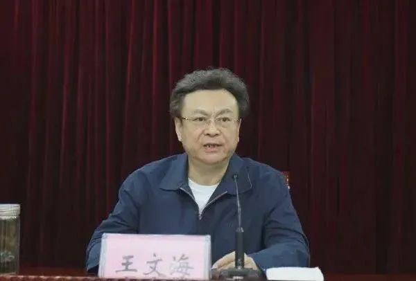 老大老三是黑帮老大，老二老四是警界败类，盗藏文物超博物馆