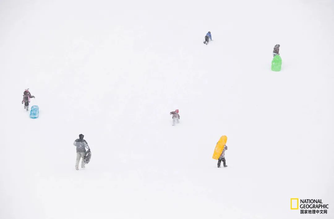 大雪 | 坐看青竹变琼枝