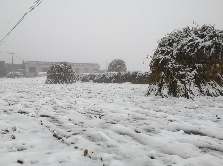 平凉天气十五天便利贴士平凉下雪发出双重警告