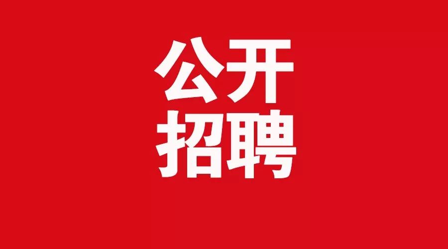 公开招聘｜正式编制！孟津区招聘30名教师