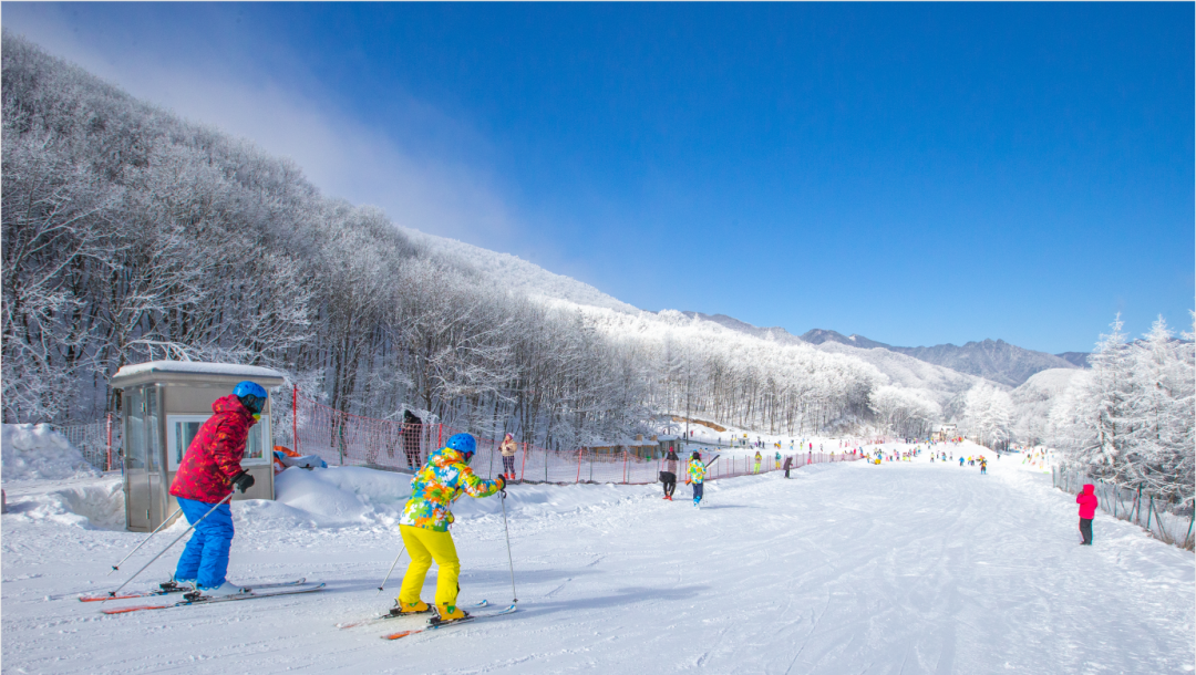 迎着“冬奥风”，打卡湖北16座滑雪场！