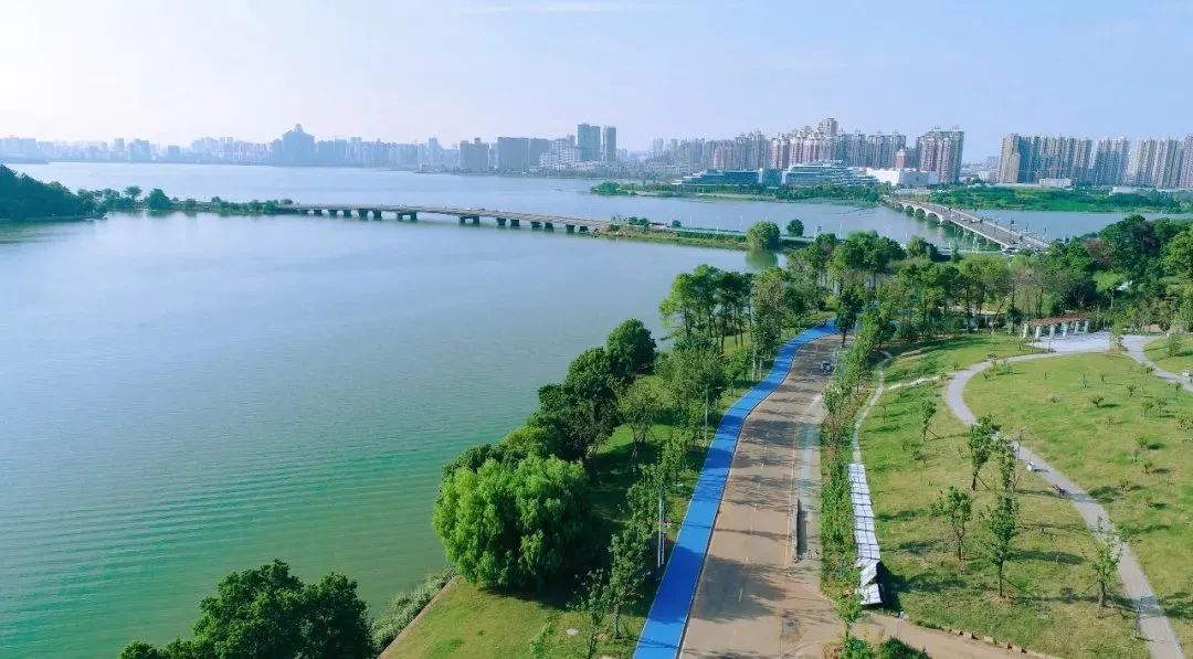 大学丨中南“考证”大学：政法和财经是“招牌”