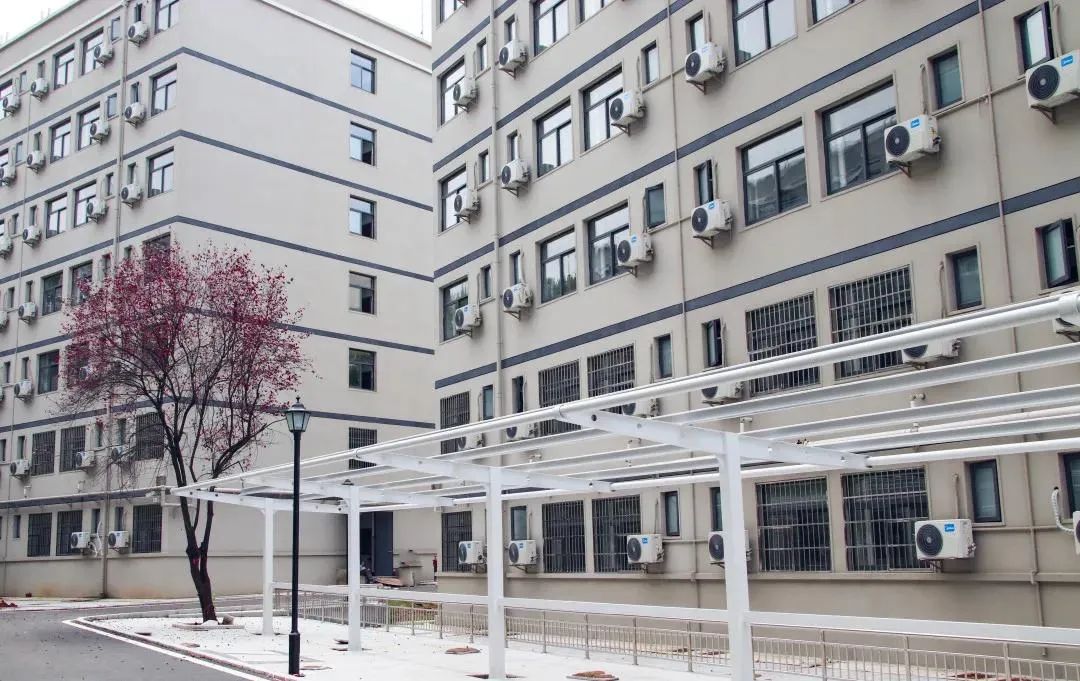 大学丨中南“考证”大学：政法和财经是“招牌”