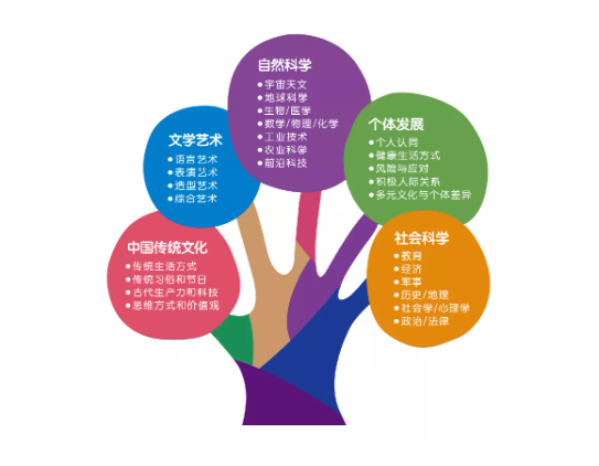 孩子期待圣诞礼物的惊喜（圣诞节给孩子的惊喜）
