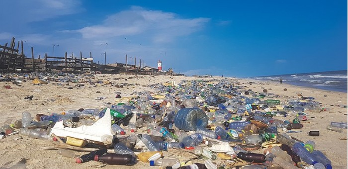 研究显示陆地和海洋中的微生物正在不断进化 以适应塑料污染的发展
