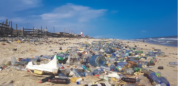 研究显示陆地和海洋中的微生物正在不断进化 以适应塑料污染的发展-第1张图片-IT新视野