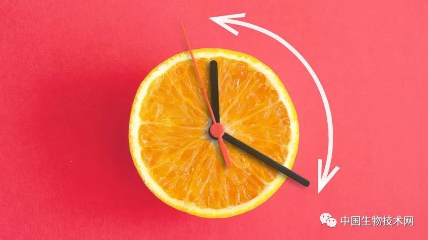 生酮饮食减肥效果好？科学家：可能对女性没什么用...