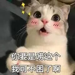 大学生创业基金,大学生创业基金怎么申请