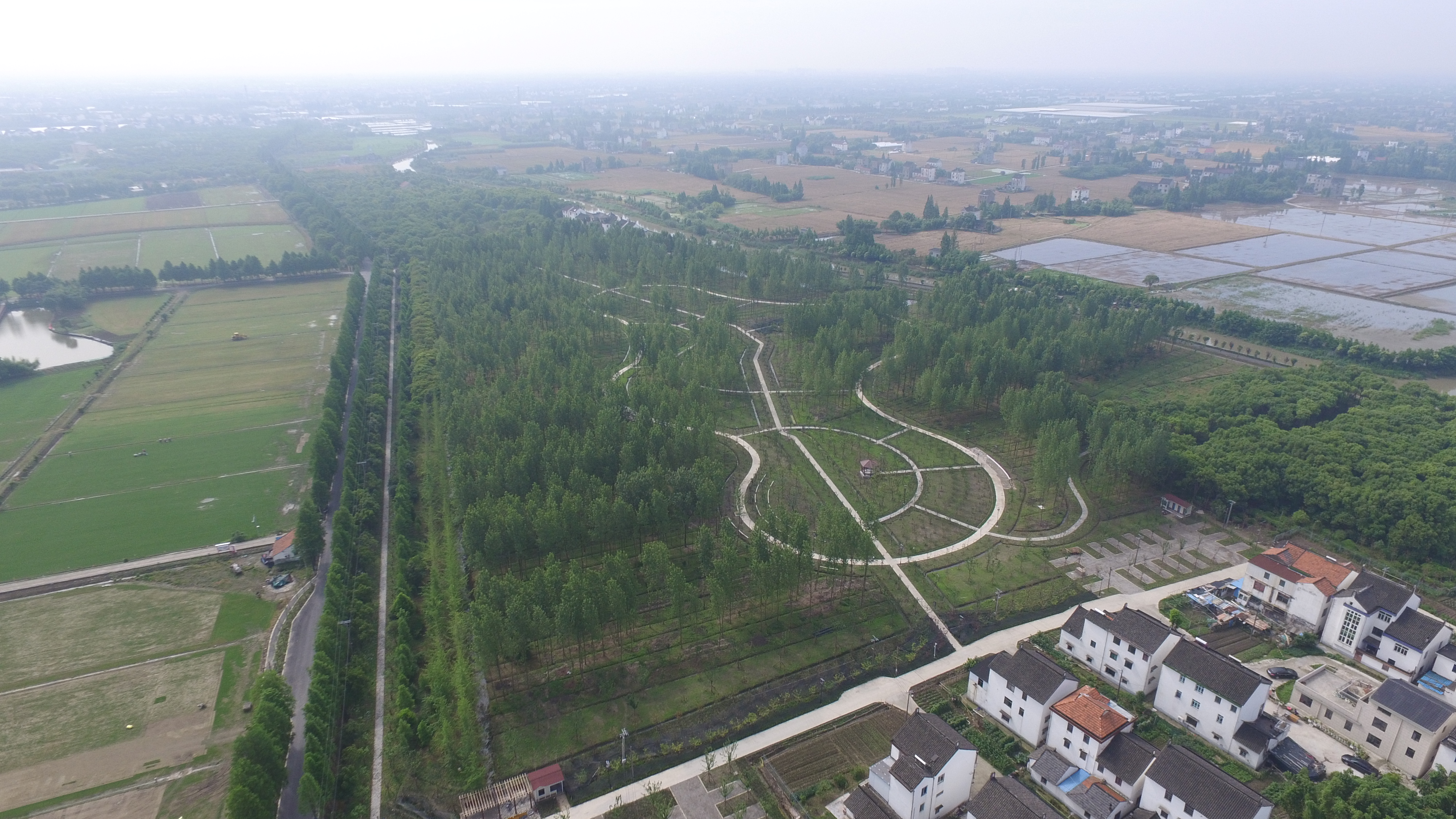 上海打造“可穿行的绿洲”，8个大型开放式休闲林地年底建成