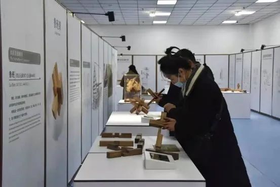 镇平县科协：创新活动载体，推动科普宣传“零距离”