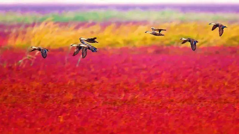 江苏文旅头条江苏新晋10家国家4A级旅游景区，“美的风光”再扩容“朋友圈”