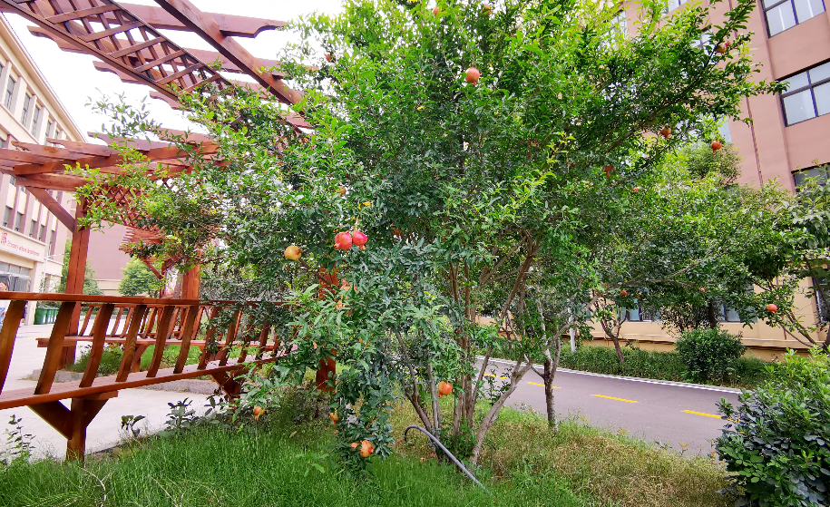 观摩、展演、沙龙……这场问道“双减”的论坛为何全程高能？