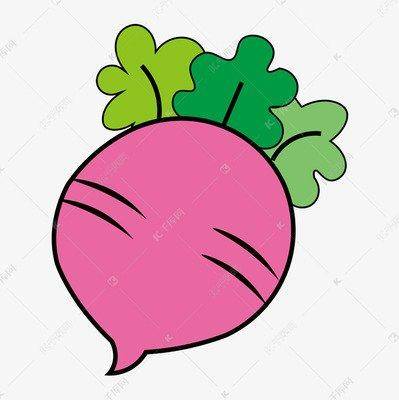 当代散文||一季萝卜四季菜