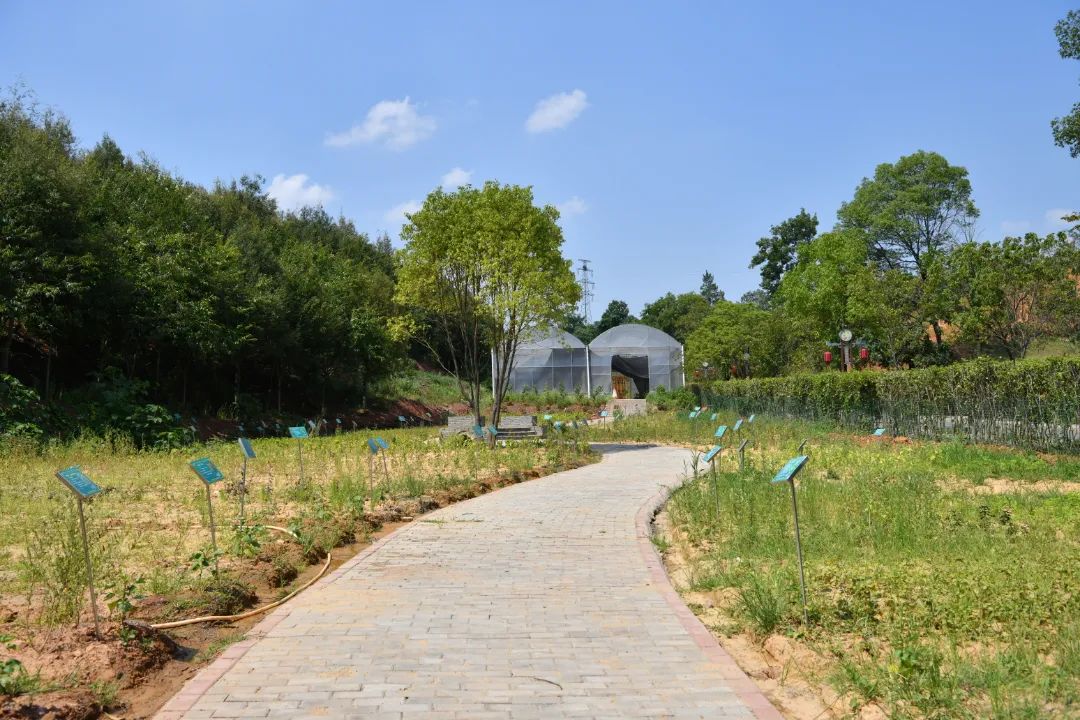 「喜讯」赣南中医药科普园荣获“赣州市中医药文化宣传教育基地”称号