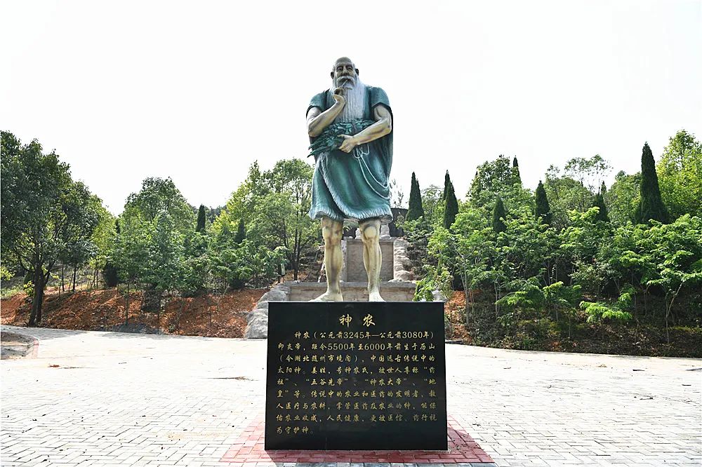 「喜讯」赣南中医药科普园荣获“赣州市中医药文化宣传教育基地”称号