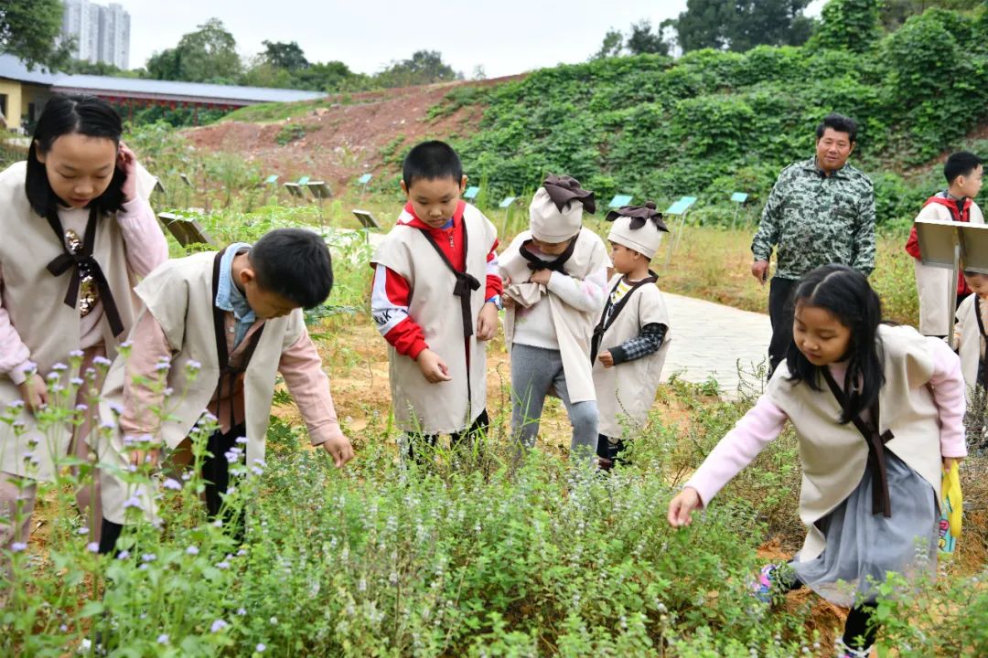 「喜讯」赣南中医药科普园荣获“赣州市中医药文化宣传教育基地”称号