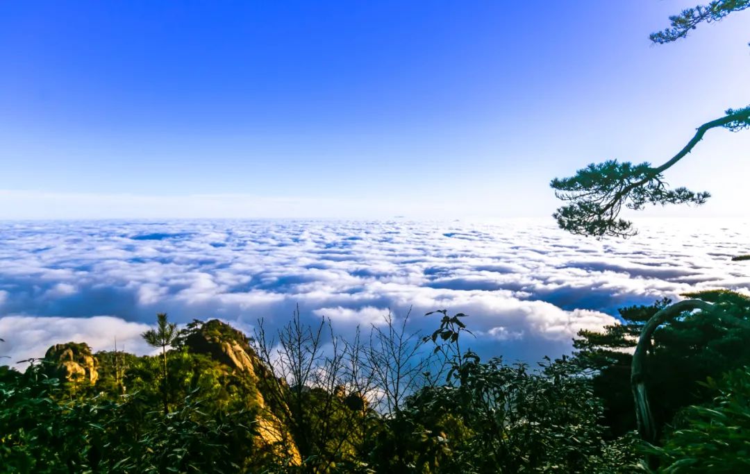 有一种浪漫，叫冬日三清山的云海和蓝天相伴