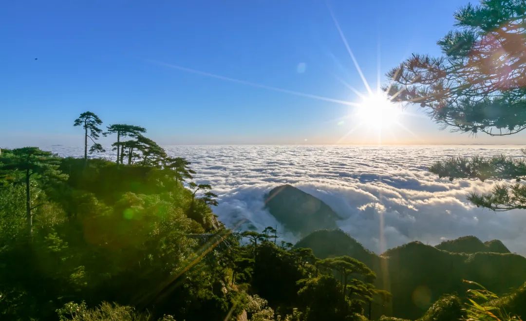 有一种浪漫，叫冬日三清山的云海和蓝天相伴