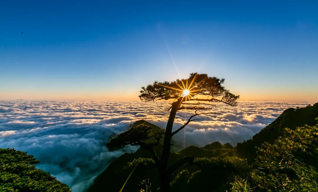 有一种浪漫，叫冬日三清山的云海和蓝天相伴