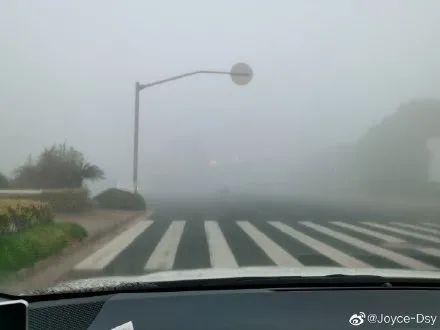 上海发布大雾橙色预警！早起市民：仿佛来到“寂静岭”