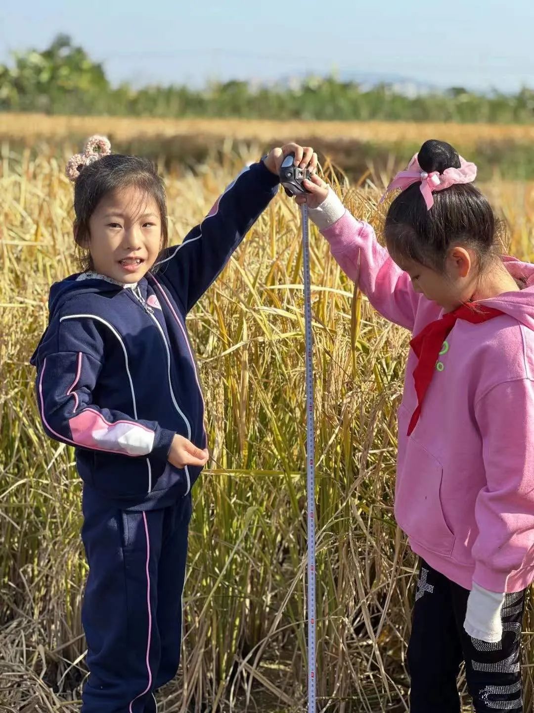 福州市融侨小学:“双减”新时尚 亲子研学课程(图5)